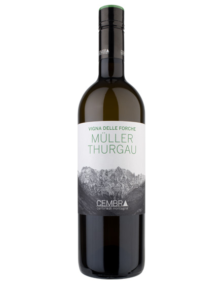 Trento DOC Müller Thurgau Vigna delle Forche 2014 Cembra Cantina di Montagna