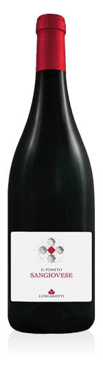 Umbria IGT Fattoria del Pometo Sangiovese 2019