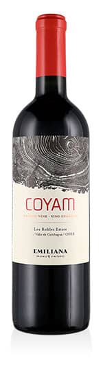 Valle de Colchagua DO Coyam 2019
