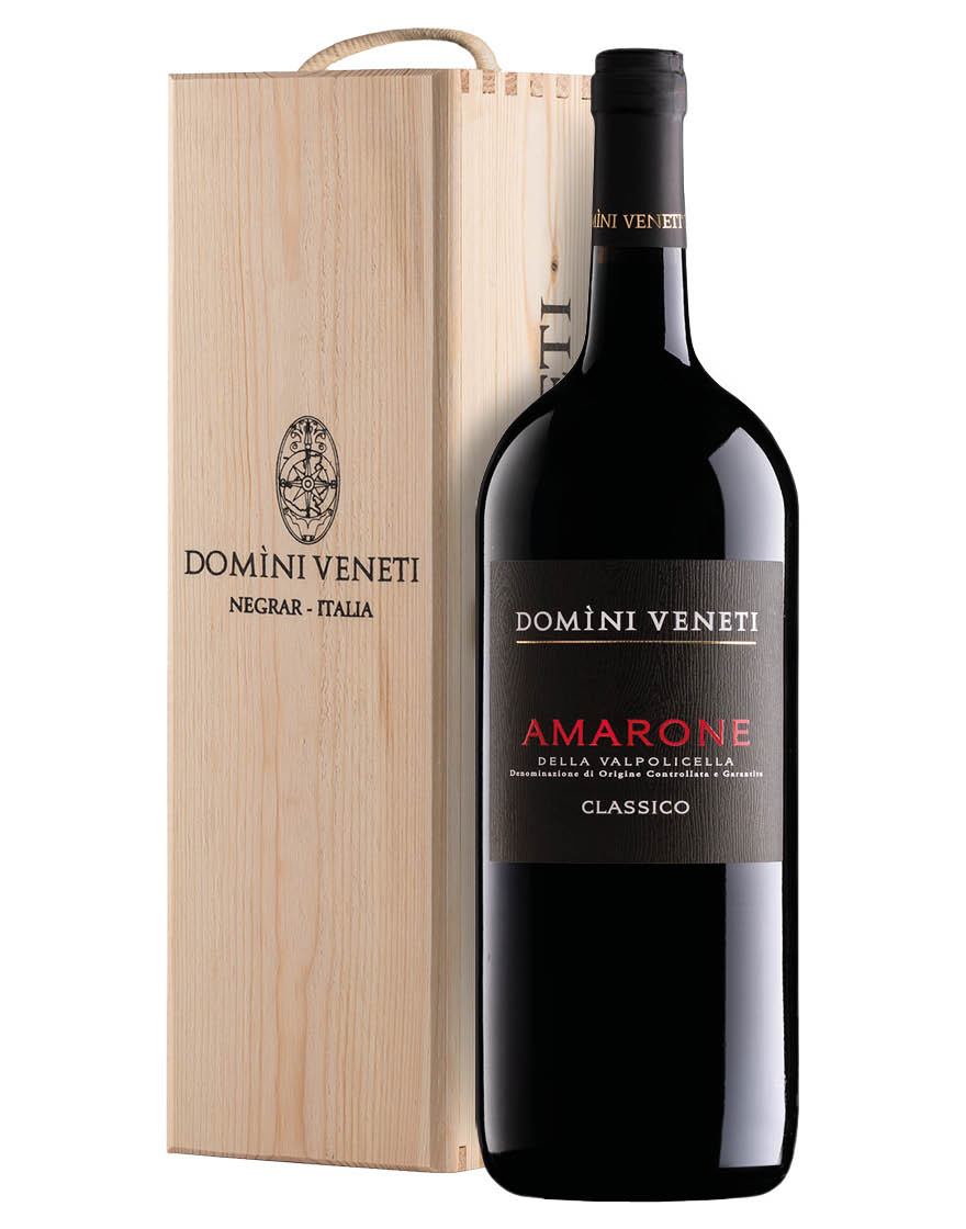 Amarone della Valpolicella Classico DOCG 2017 Domini Veneti