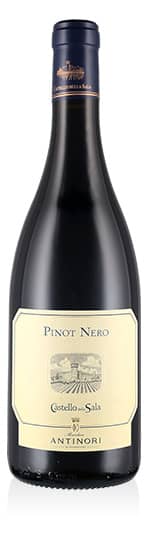 Umbria IGT Pinot Nero Castello della Sala 2018