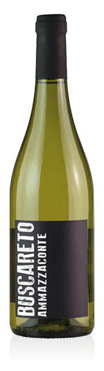 Verdicchio dei Castelli di Jesi DOC Ammazzaconte 2019