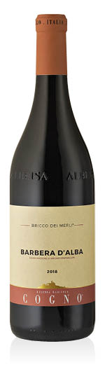 Barbera d'Alba DOC Bricco dei Merli 2019 Elvio Cogno