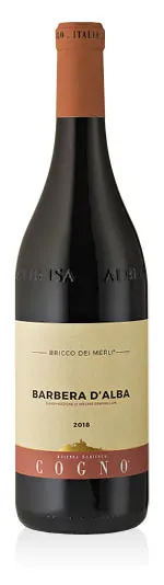 Barbera d'Alba DOC Bricco dei Merli 2019 Elvio Cogno
