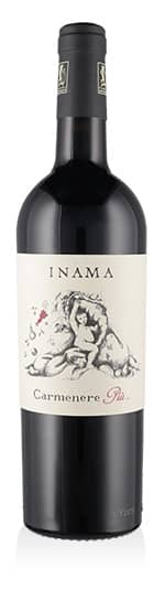 Veneto IGT Carmenere Più ... 2019