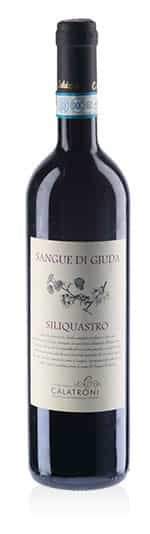 Sangue di Giuda dell'Oltrepò Pavese DOC Siliquastro 2021