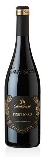 Veneto Pinot Nero IGT 2020