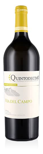 Irpinia DOC Falanghina Via del Campo 2021