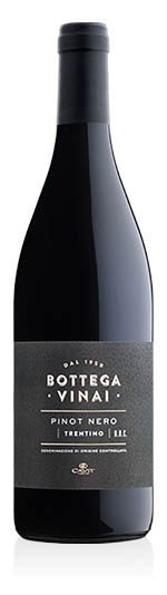Trentino DOC Bottega Vinai Pinot Nero 2019