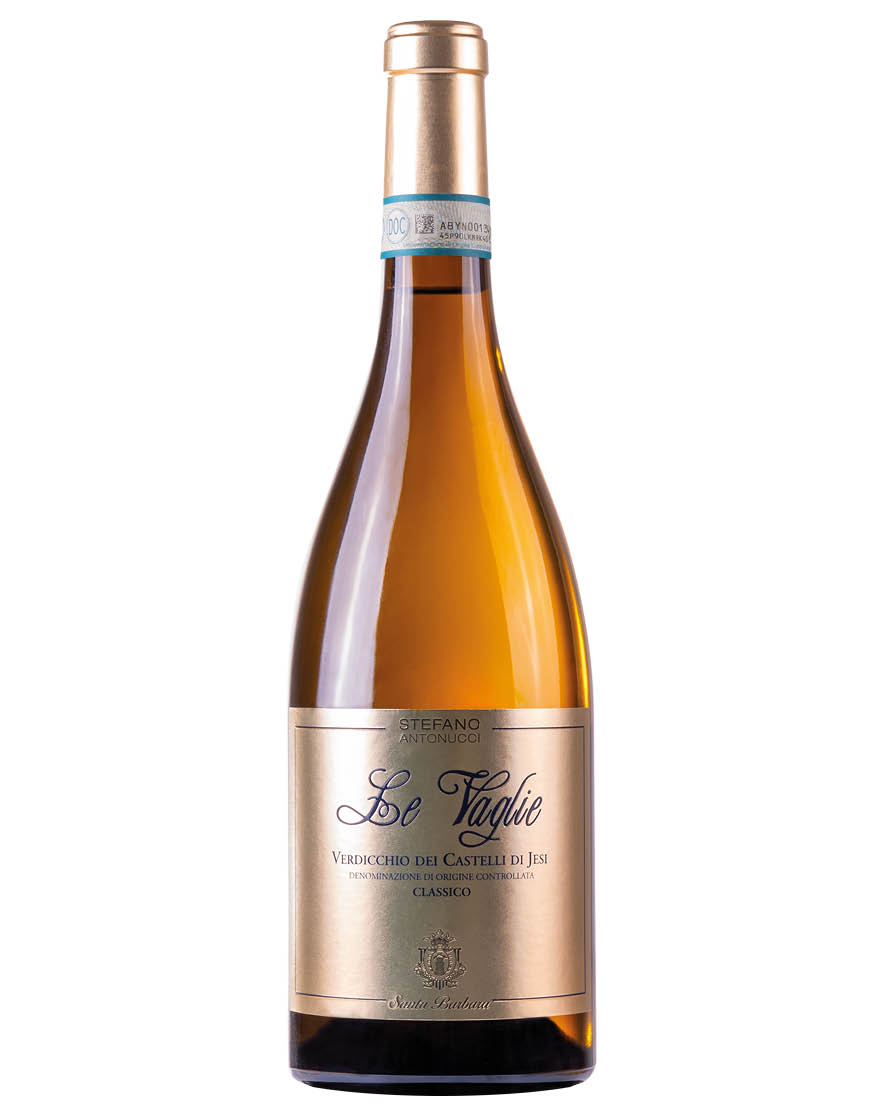Verdicchio Castelli di Jesi Classico DOC Le Vaglie 2021 Santa Barbara