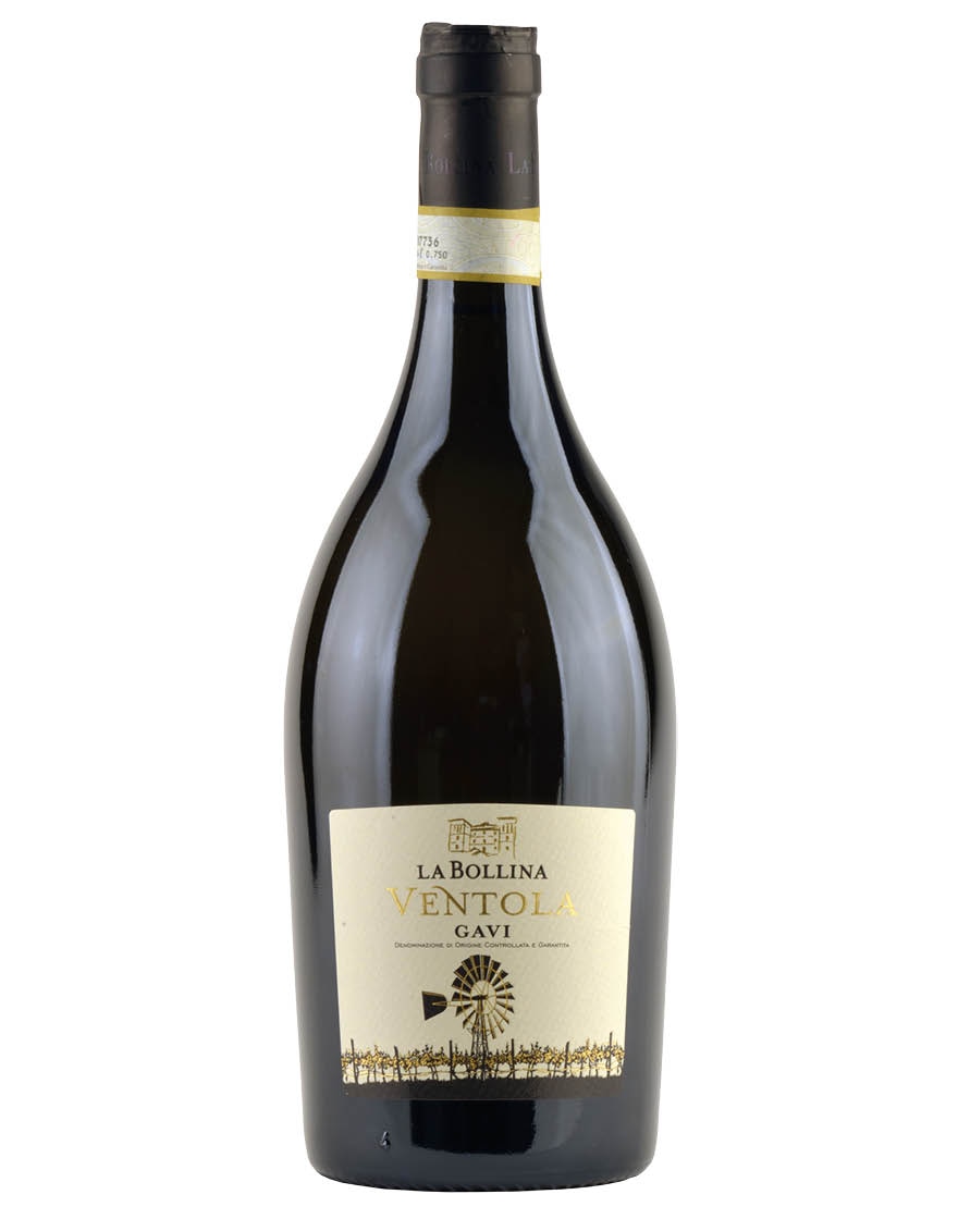 Gavi DOCG Ventola 2020 La Bollina
