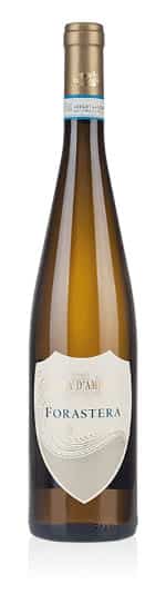 Ischia DOC Forastera 2021