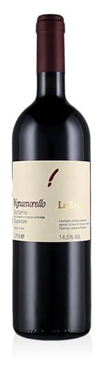 Gutturnio Superiore DOC Vignamorello 2020