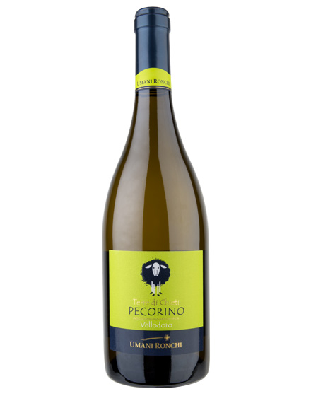 Terre di Chieti Pecorino IGT Vellodoro 2021 Umani Ronchi