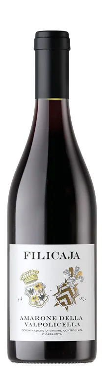 Amarone della Valpolicella DOCG 2020 Villa da Filicaja
