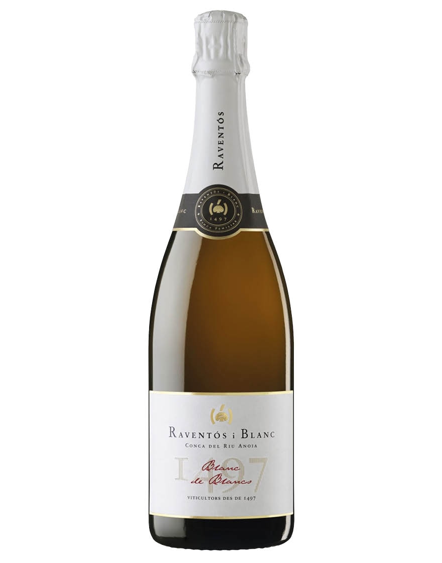 Conca del Riu Anoia DO Blanc de Blancs 2020 Raventós i Blanc