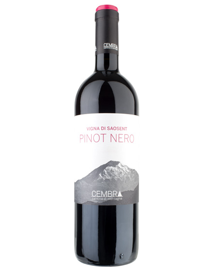 Trentino DOC Pinot Nero Vigna di Saosent 2014 Cembra
