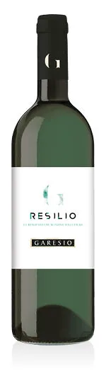 Monferrato DOC Sauvignon Resilio 2020 Garesio