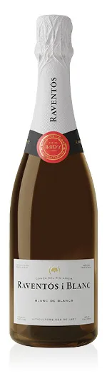Conca del Riu Anoia DO Blanc de Blancs 2021 Raventós i Blanc