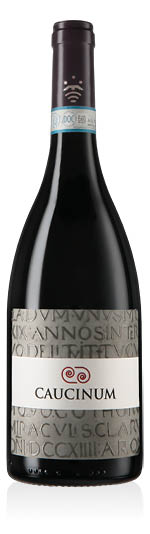 Falerno del Massico DOC Riserva Caucinum 2019 Poderi Trabucco Aurilio