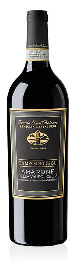 Amarone della Valpolicella DOCG Campo dei Gigli 2018 Tenuta Sant'Antonio