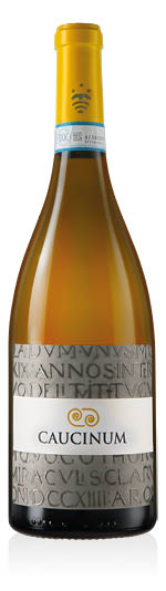 Falerno del Massico DOC Bianco Caucinum 2021 Poderi Trabucco Aurilio