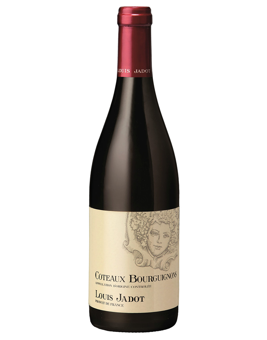 Coteaux Bourguignons AOC Rouge 2021 Louis Jadot