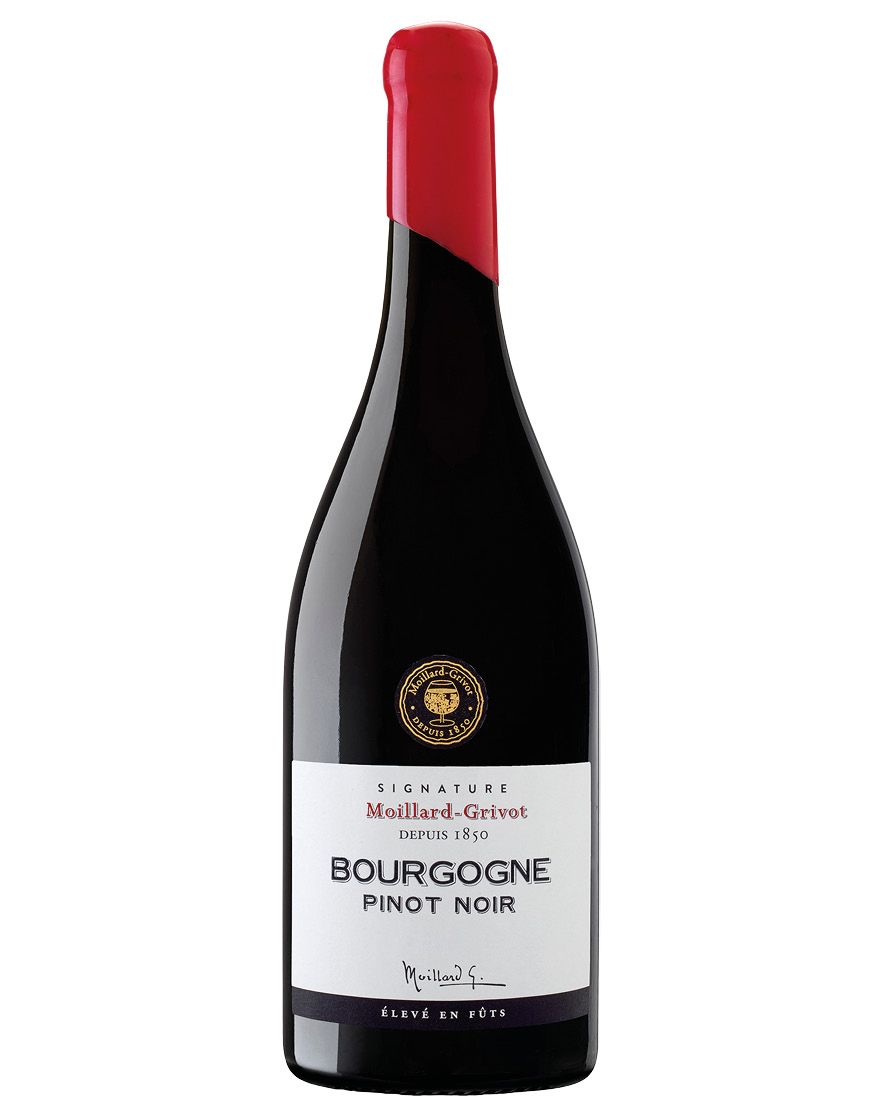 Bourgogne AOP Pinot Noir Cuvée Signature 2021 Maison Moillard
