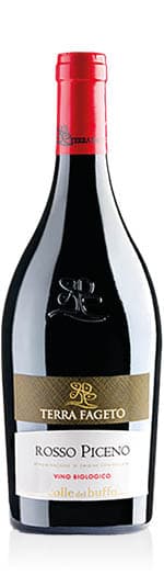 Rosso Piceno DOC Colle del Buffo 2022 Terra Fageto