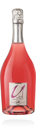 Vino Spumante di Qualità Brut Rosé Merlot Tenuta Ulisse
