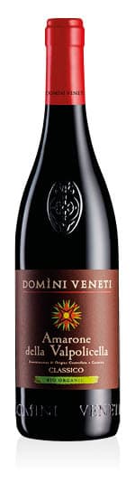 Amarone della Valpolicella Classico DOCG Biologico 2021 Domini Veneti