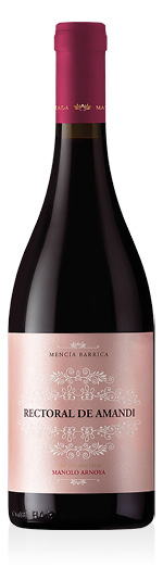 Ribeira Sacra DO Mencía Rectoral de Amandi Limited Edition Manolo Arnoya 2019 Bodegas Gallegas