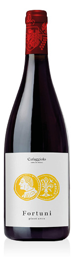 Toscana IGT Pinot Nero Fortuni 2018 Tenuta Cafaggiolo