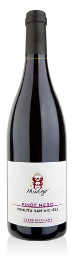 Terre Siciliane IGT Pinot Nero Tenuta San Michele 2021 Murgo