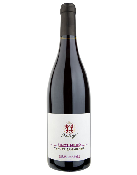 Terre Siciliane IGT Pinot Nero Tenuta San Michele 2021 Murgo