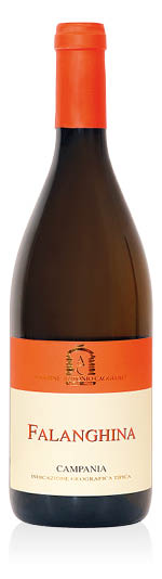 Campania Falanghina IGT 2023 Caggiano