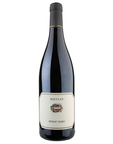 Breganze DOC Pinot Nero 2023 Maculan