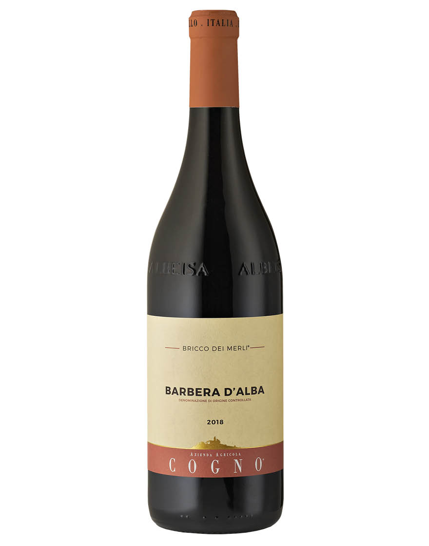 Barbera d'Alba DOC Bricco dei Merli 2021 Elvio Cogno