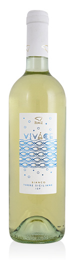 Terre Siciliane IGP Bianco Vivace 2023 Cantine Birgi