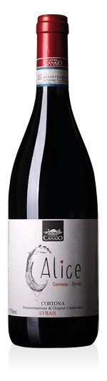 Cortona DOC Syrah Calice 2022 Cantina Canaio