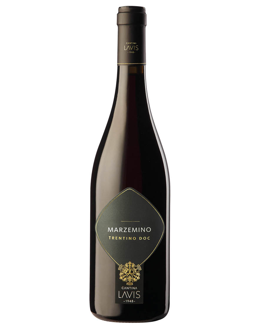 Trentino DOC Marzemino 2023 La Vis