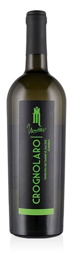 Verdicchio dei Castelli di Jesi DOC Classico Crognolaro 2023 Tenuta Mattei