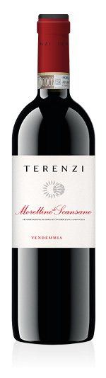 Morellino di Scansano DOCG 2023 Terenzi