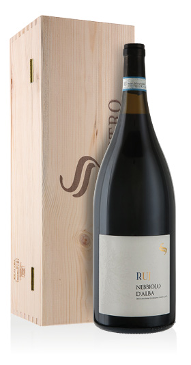 Nebbiolo d'Alba DOC Ruj 2023 San Silvestro