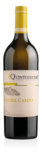 Irpinia DOC Falanghina Via del Campo 2024 Quintodecimo