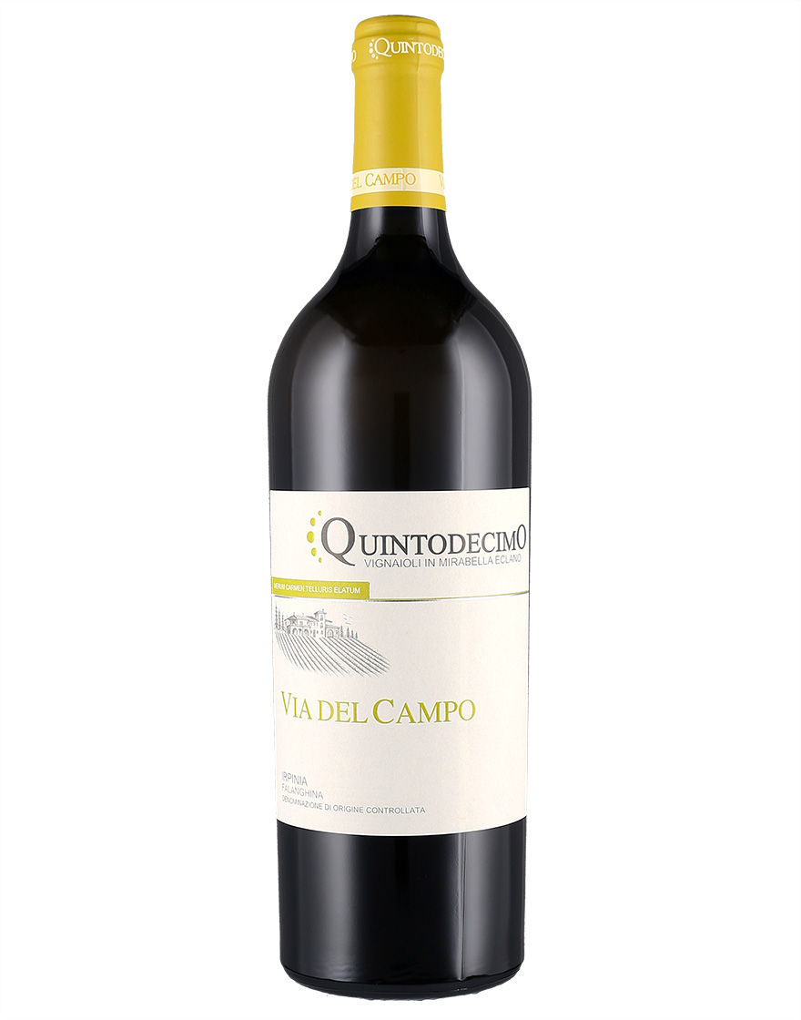 Irpinia DOC Falanghina Via del Campo 2024 Quintodecimo
