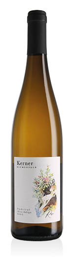 Südtirol - Alto Adige DOC Kerner 2024 Blumenfeld