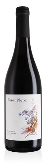 Südtirol - Alto Adige DOC Pinot Nero 2024 Blumenfeld