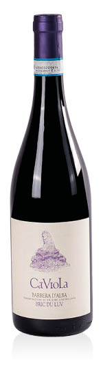Barbera d'Alba DOC Bric du Luv 2023 Ca' Viola