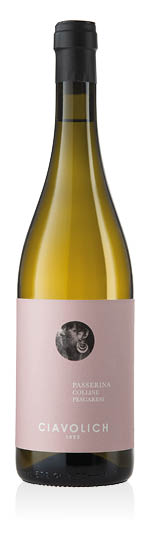 Colline Pescaresi Passerina IGT 2024 Ciavolich